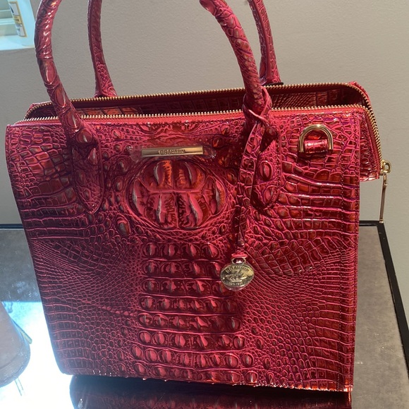 Brahmin - Picture 5 of 15